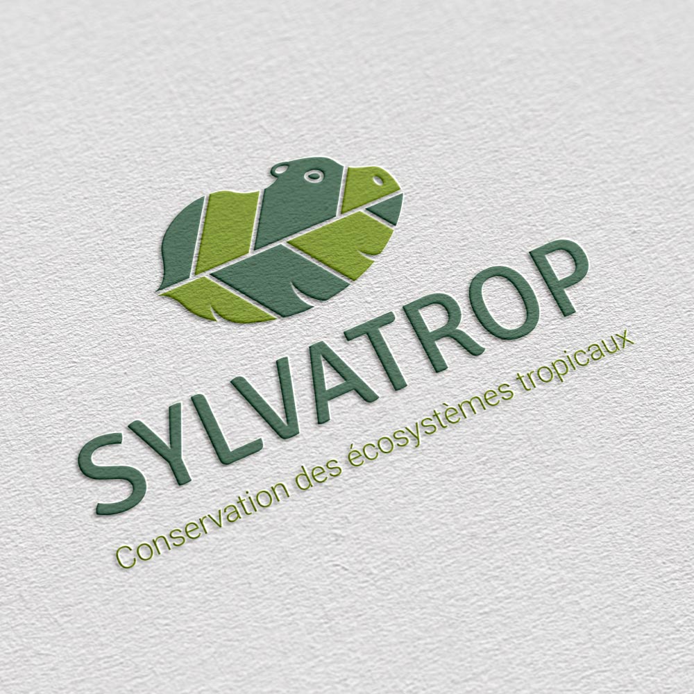 Présentation projet Sylvatrop