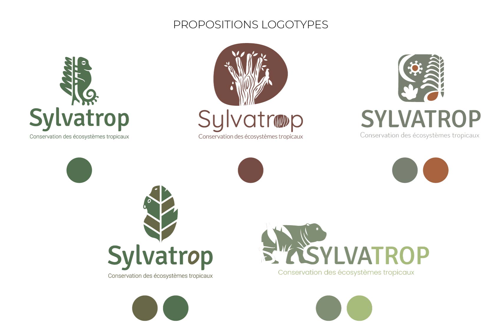 Planche propositions logotypes Sylvatrop