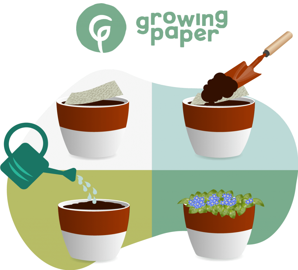 Logo Growingpaper et schéma de plantation du papier ensemencé.